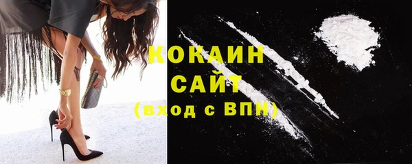 сатива Белоозёрский