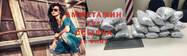 сатива Белоозёрский