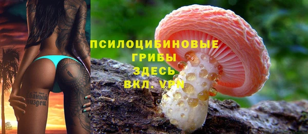 сатива Белоозёрский