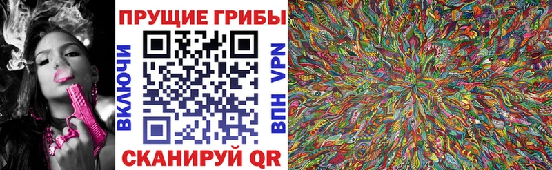 как найти   Елизаветинская  Галлюциногенные грибы Psilocybe 